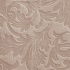 Astrum mocca